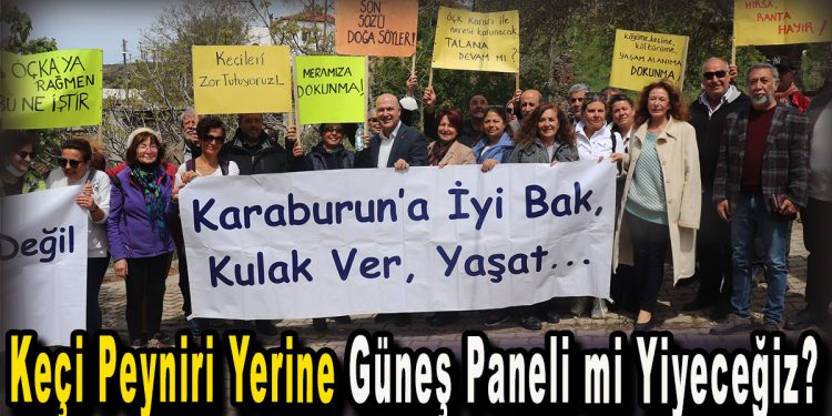 Keçi Peyniri Yerine Güneş Paneli mi Yiyeceğiz?
