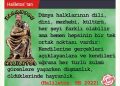 HALİLETOS’tan