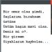 Bir omuz olsa şimdi