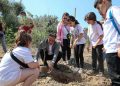 Bucalı çocuklardan zeytin fidanı dikimi