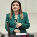CHP İzmir Milletvekili Av. Sevda Erdan Kılıç: