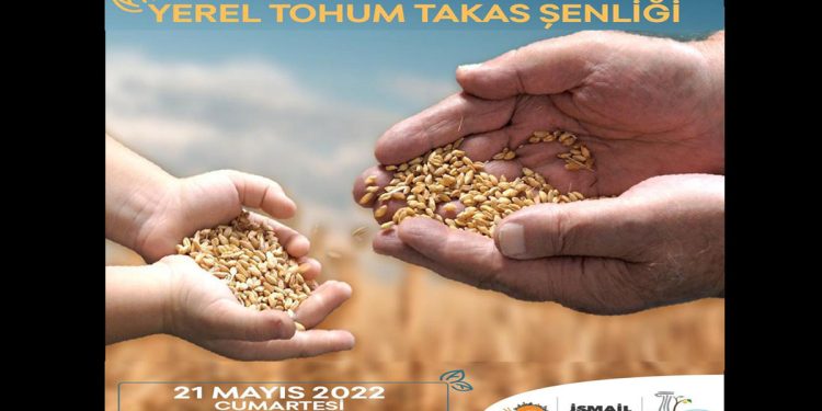 Tohum Takas Şenliği’nde 300 bin fide dağıtılacak