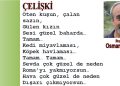 ÇELİŞKİ