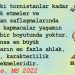 HALİLETOS’tan