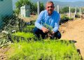 Beydağ’da İlk Kez Kuşkonmaz Üretimine Başlandı