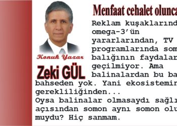 Menfaat cehalet olunca