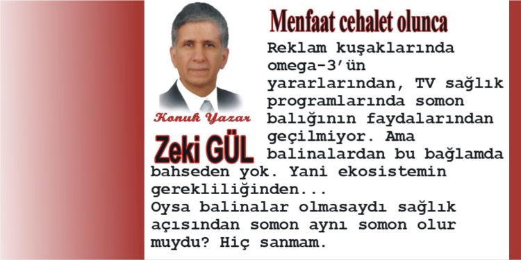 Menfaat cehalet olunca