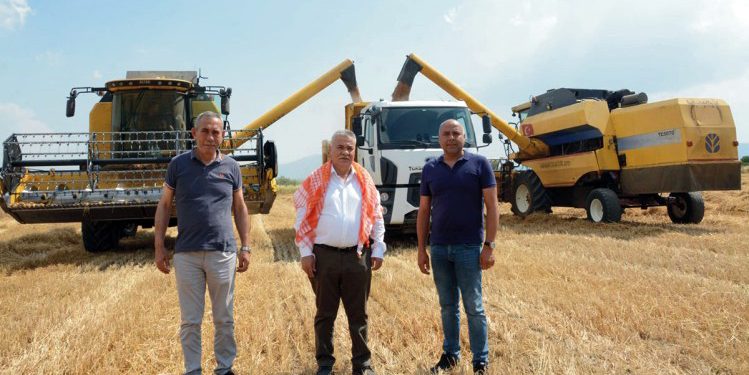 Torbalı Belediyesi buğday hasadına başladı