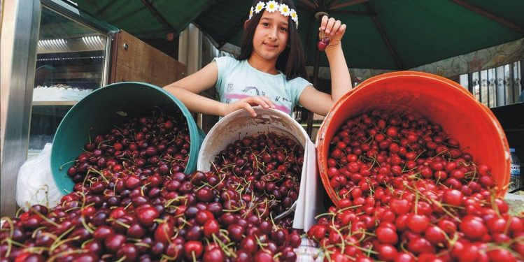 &nbsp;En tatlı festival Belenbaşı’nda gerçekleştirildi