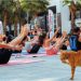 KARŞIYAKA’DA “DÜNYA YOGA GÜNÜ” BULUŞMASI&nbsp;