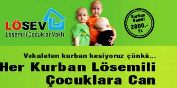 LÖSEV BÜYÜK AİLE KUCAKLAŞMASI İSTANBUL’DA