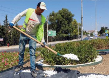 Buca sokaklarında yaz çiçekleri zamanı