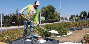 Buca sokaklarında yaz çiçekleri zamanı
