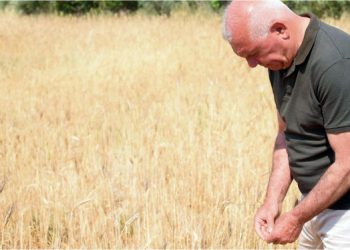 KARAKILÇIK KEMALPAŞA’DA HAYAT BULUYOR
