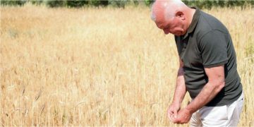 KARAKILÇIK KEMALPAŞA’DA HAYAT BULUYOR