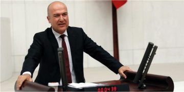 CHP’li Bakan’ın “kesilen palmiye ağaçları” önergesine yanıt geldi