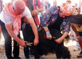 Karaburun dağlarında “Kırkım” coşkusu