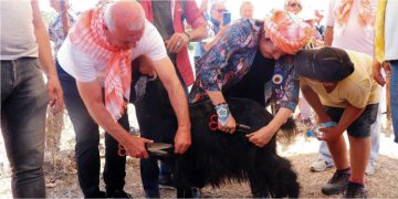 Karaburun dağlarında “Kırkım” coşkusu