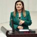 CHP İzmir Milletvekili Av. Sevda Erdan Kılıç: