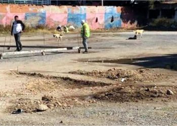 Bergama Halkı Her Şeyi Biliyor