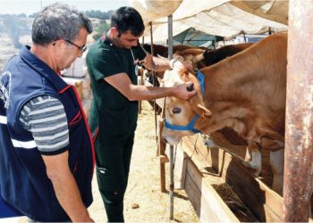 Karabağlar’da kurban satış yerleri denetleniyor