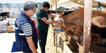 Karabağlar’da kurban satış yerleri denetleniyor