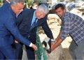 Büyükşehirden Beydağlı Üreticilere Küçükbaş Hayvan Desteği