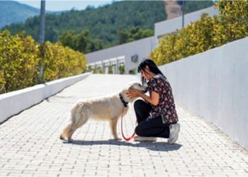 Önce tedavi ettiler sonra sahiplendiler