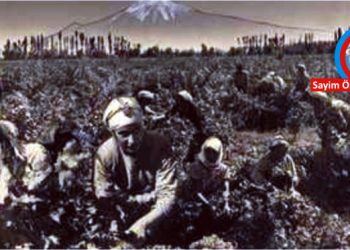 YASALAR TOPLUMSAL, KÜLTÜREL VE COĞRAFİ GERÇEKLİĞİMİZİ DEĞİŞTİREBİLİR Mİ? (1)