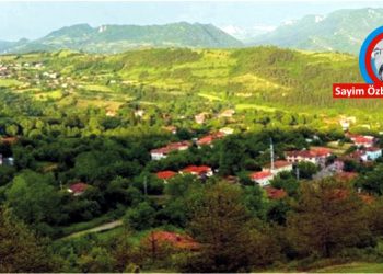YASALAR BİR BAŞINA TOPLUMSAL, KÜLTÜREL VE COĞRAFİ GERÇEKLİĞİMİZİ DEĞİŞTİREBİLİR Mİ?