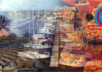 Seferihisarlılar marina değil mandalinasını istiyor