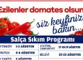 EFES SELÇUK’TA SALÇA ZAMANI
