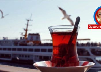 HAYATI SEYREDİYORUM