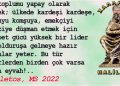 HALİLETOS’tan…