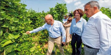 “Bu sahipsizliğe, düzensizliğe, vatandaşı terk etmişliğe İzmir’de biz rıza göstermiyoruz”