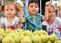 Meyvelerin efendisi için festival