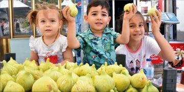 Meyvelerin efendisi için festival