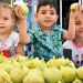 Meyvelerin efendisi için festival