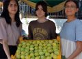 Torbalı’da Bardacık İnciri coşkusu