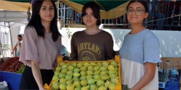 Torbalı’da Bardacık İnciri coşkusu