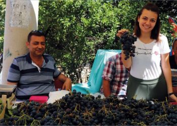 Kösedere Üzüm Şenliği’ne 13. Kez Merhaba…