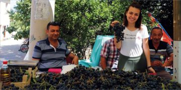 Kösedere Üzüm Şenliği’ne 13. Kez Merhaba…