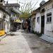 Dikili’de Yaşam Sokağı