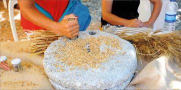 Ata Ekmeği ve Armola Peyniri Şenliği 27 Ağustos’ta Ulamış köyünde