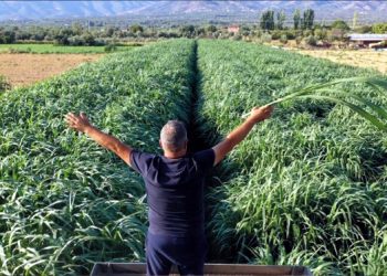 Girişimci Turhan Kendirli Tarımda Rekor Denemesi için Hazır