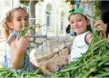 Torbalı’da Börülce Festivali coşkusu