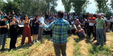 Tarım ve Hayvancılıkta Rekor Kıran Hasat