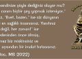 HALİLETOS’tan…
