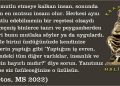 HALİLETOS’tan…