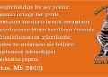 HALİLETOS’tan…
